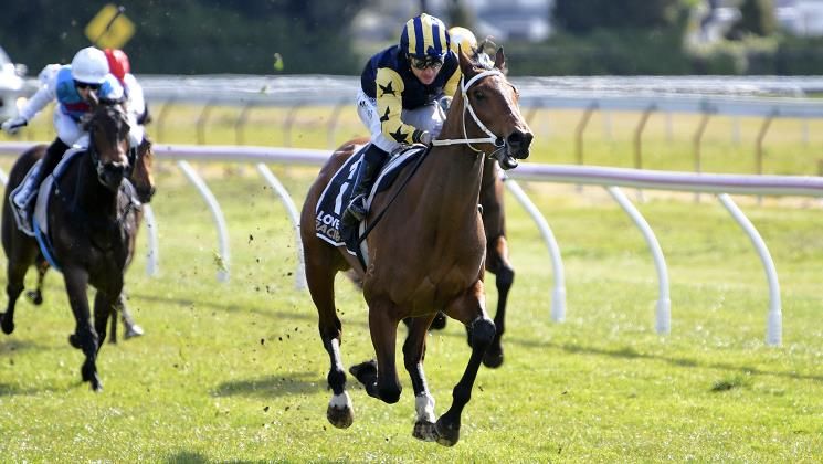 LOVERACING.NZ tweet media