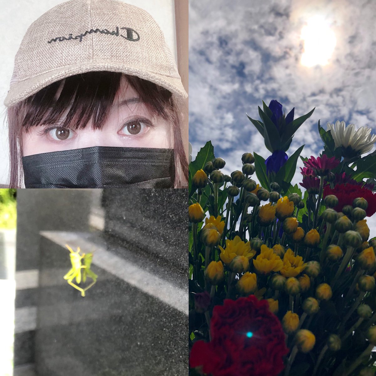 あぢい💦

お盆やから、パパをお迎えにお墓参り行ってきたよ💐

麻素材のChampionのキャップ🧢似合わなくてもお気に入りなのだあ✨

汗でほぼ化粧落ちた💦
足やっぱ痛いなあ💦

そうそう、お線香あげてたら、バッタの赤ちゃんがきてくれたよ🦗

パパが変身したのかな✨