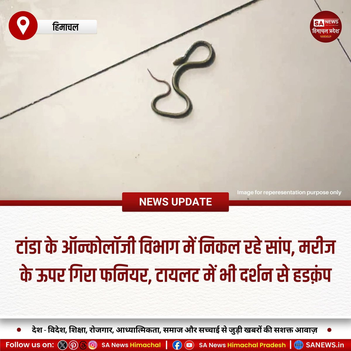 sanewshimachal's tweet photo. कांगड़ा : टांडा मेडिकल कॉलेज के ऑन्कोलॉजी विभाग में सांप निकलने से मरीज और स्टाफ दहशत में हैं। पिछले सप्ताह से शौचालय व एसी से सांप मिल रहे हैं। आशंका है कि छत पर सांपों ने बच्चे दिए हैं। प्रशासन ने सतर्क रहने की सलाह दी है।
#SnakeSeason #HospitalAlert #oncologycare https://t.co/EnnqH4CzQE