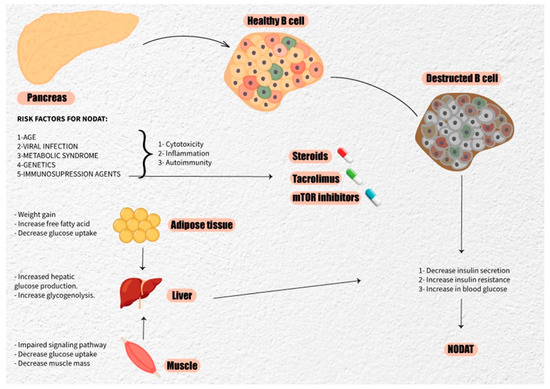JCM_MDPI's tweet photo. #mdpijcm
📢Call for Reading
Views 5515, Citations 8🙌
New-Onset #Diabetes Mellitus after #Kidney_Transplantation
by Salah Alajous et al.
@salahalajooz
@MediPharma_MDPI
#NODAT https://t.co/O6Yh2vbJUi