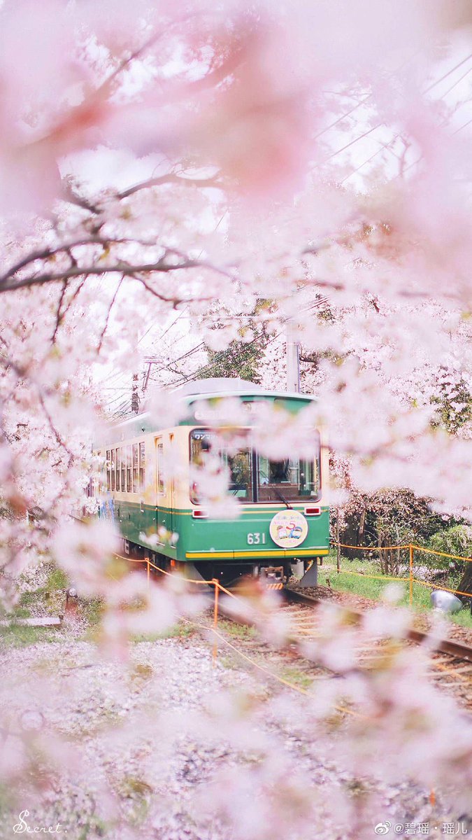 helena_mar19's tweet image. Good Morning 
Have a Beautiful Day 

(Japan,📷 Pinterest)