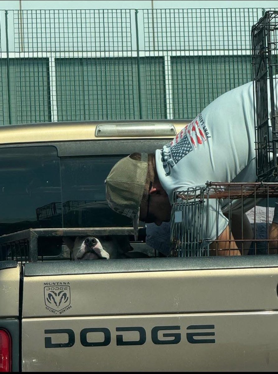 LisaBrabson's tweet photo. ATTENTION⚠️

Look at this dog being handed over by #DallasAnimalServices and Adoption Center and given to these men that walked outside and literally manhandled and thrown the poor dog into a cage in the back of a pickup.  #Dallas tmw at the City Council meeting!   
#DogLovers https://t.co/9HuYHvfSv0
