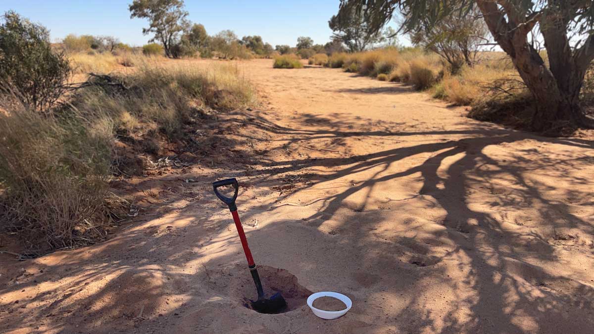 👉 NEW ASX RELEASE

Assays of HMS samples taken on $ATT's new Nilpinna tenements in the Eromanga Basin have returned high percentages of #Heavy #Mineral #Sands - including #zircon &amp; #titanium minerals.

Drill testing is planned for September

More:
altitudeminerals.com/investor-updat…