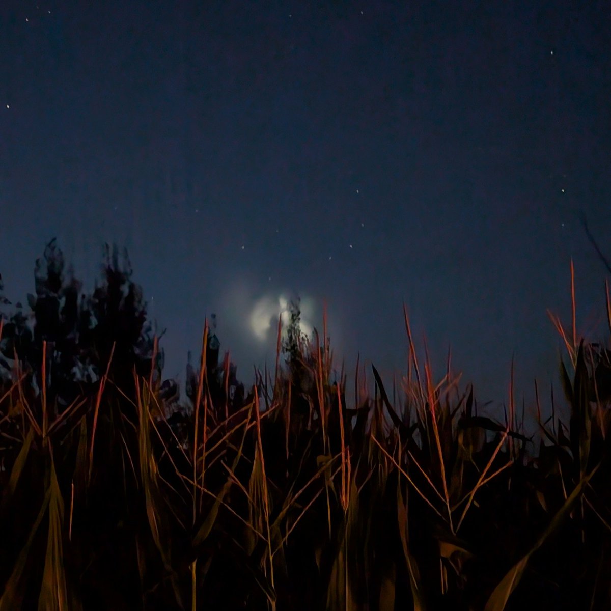 jonpederson's tweet photo. Add this to the totally not normal list of things I've ever seen.

I thought it was a satellite, but as it moved closer, there were two bright lights shining to the sides, and surrounded by fog. I caught this photo as it was disappearing over the corn field. https://t.co/JPjkGT7zdH