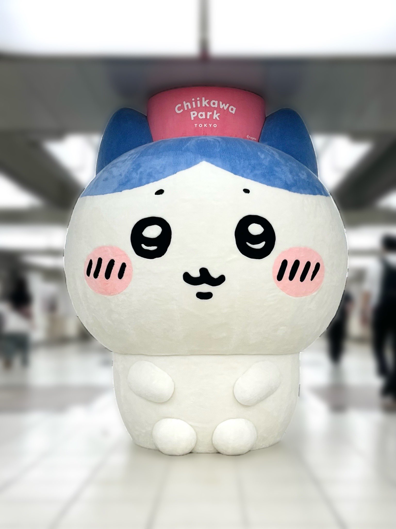 加藤茜 on X: 