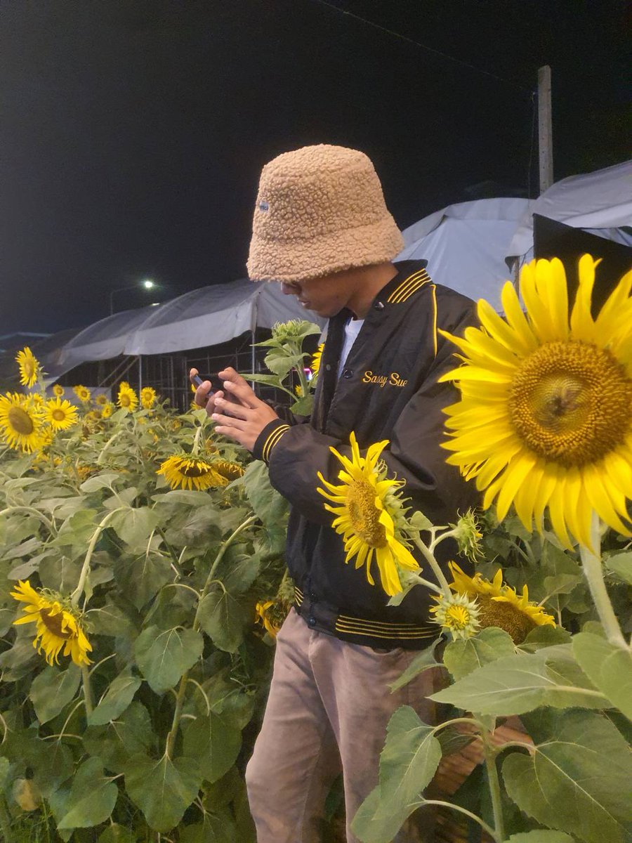 Open71371032's tweet photo. ทานตะวัน🌻🧡
#หาดใหญ่ 
#สงขลา https://t.co/EzgupDkgZF