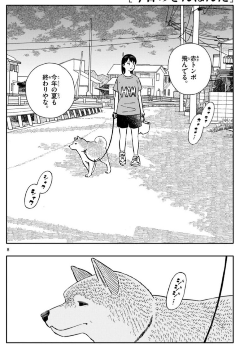 【ゲッサン９月号絶賛発売中！】
今日のさんぽんた第66話 バイト探し 掲載中です！
今回は表紙&amp;センタカラーにてお届けです🐶✨
内容は新しいバイトを探したり、夏の終わりを惜しんだり…となっております🎐
また今月も出張掲載アリですので、そちらも併せてよろしくお願い致します！！