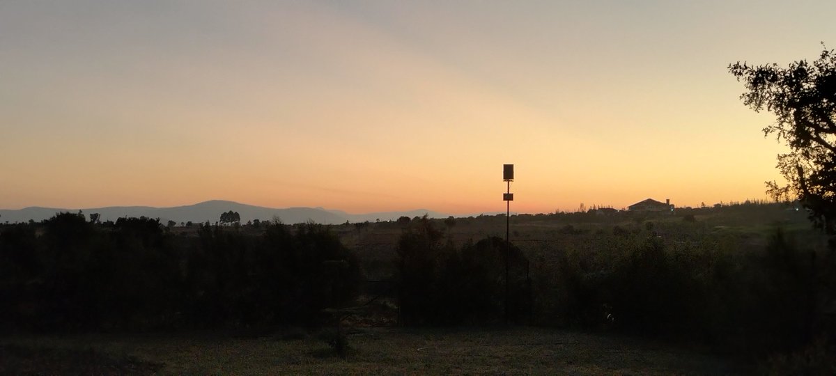 Good morning good people. Another bright day out here. Time for us to count our blessings, one by one. Good day.