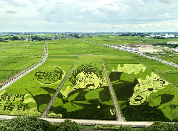 Japan's rice-paddy art is on another level
