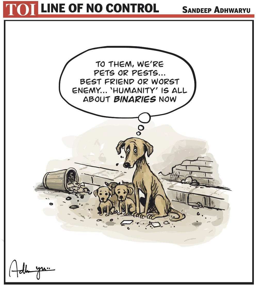 #straydogs <a href="/timesofindia/">The Times Of India</a>