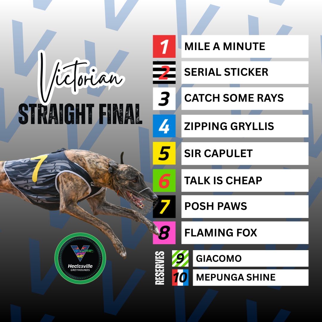 Healesville Greyhounds tweet media