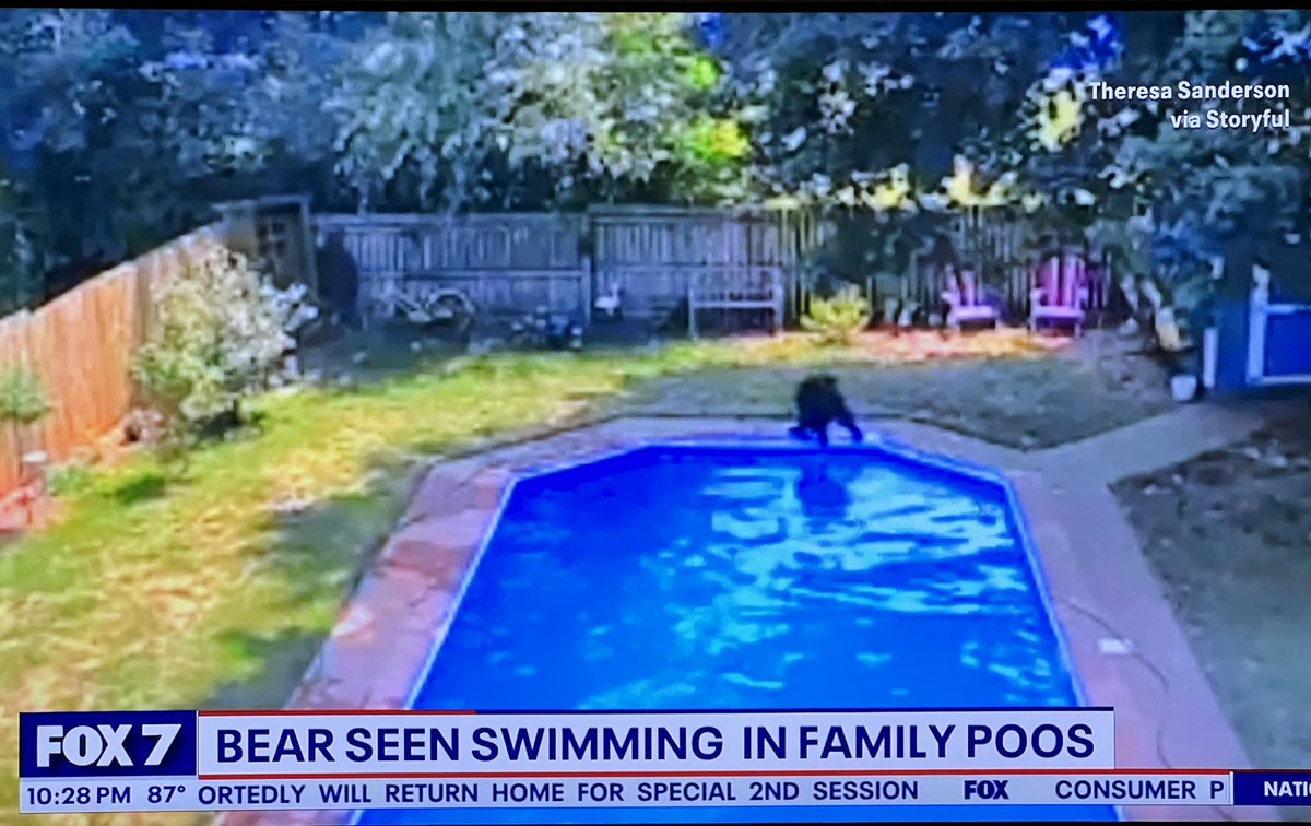 Lori Kithil tweet media