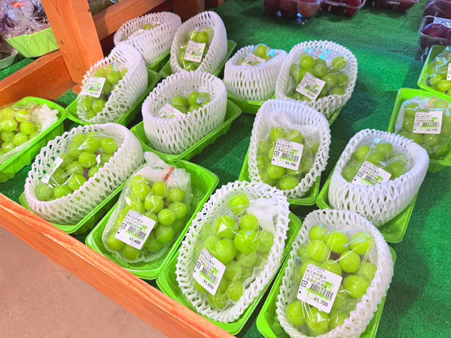 葡萄様 リクエスト 2点 まとめ商品 枝様 リクエスト 2点 まとめ商品 葡萄の