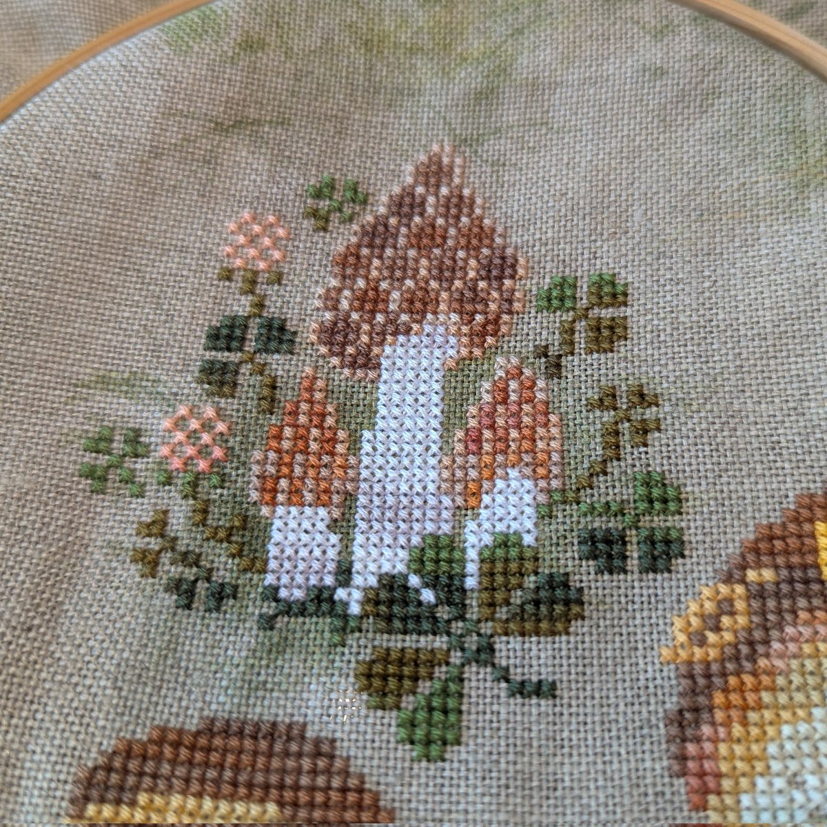 marizo_58's tweet photo. アミガサタケ morels morchella
完成です。

Mushrooms and Toadstools
#owlforestembroidery
#クロスステッチ https://t.co/HSCU1fAoSz