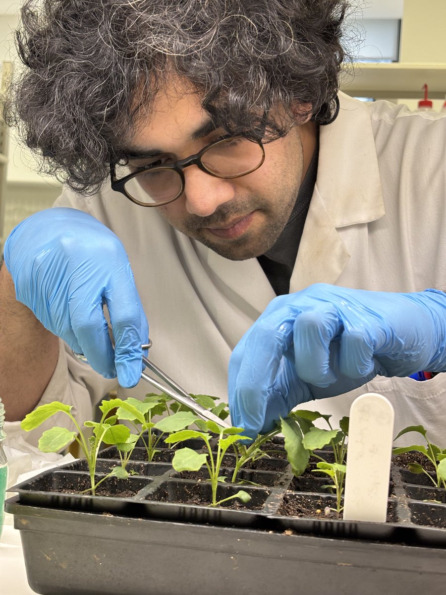 ARC Training Centre for Future Crops Development tweet media