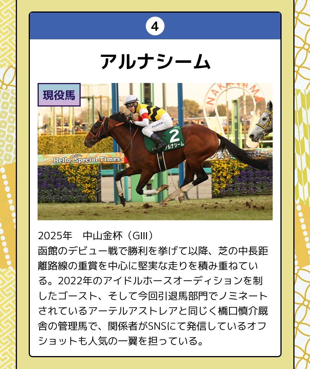 コントラチェック アイドルホースselection 【公式通販】