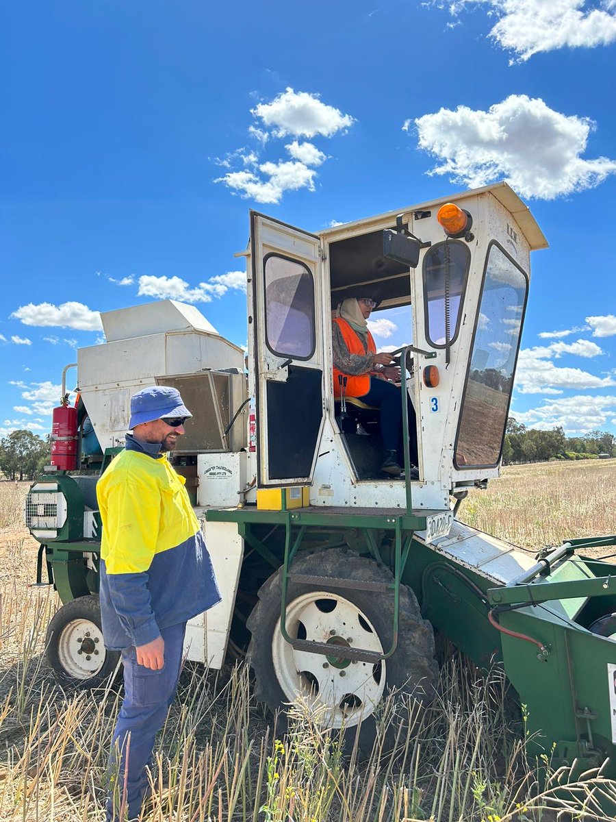 ARC Training Centre for Future Crops Development (@futurecropsau) on Twitter photo We’re hiring!
Join us at <a href="/scienceANU/">Science & Medicine at ANU</a> in Canberra as a Technical Officer to work on lab-based research in #Syn_Bio & #CropScience alongside our Innovation Fellows. Apply now and help shape the future of #agriculture:
shorturl.at/KNEVL
<a href="/PlantSci_ANU/">ANU Division of Plant Sciences</a> #plantscience #community We’re hiring!
Join us at <a href="/scienceANU/">Science & Medicine at ANU</a> in Canberra as a Technical Officer to work on lab-based research in #Syn_Bio & #CropScience alongside our Innovation Fellows. Apply now and help shape the future of #agriculture:
shorturl.at/KNEVL
<a href="/PlantSci_ANU/">ANU Division of Plant Sciences</a> #plantscience #community
