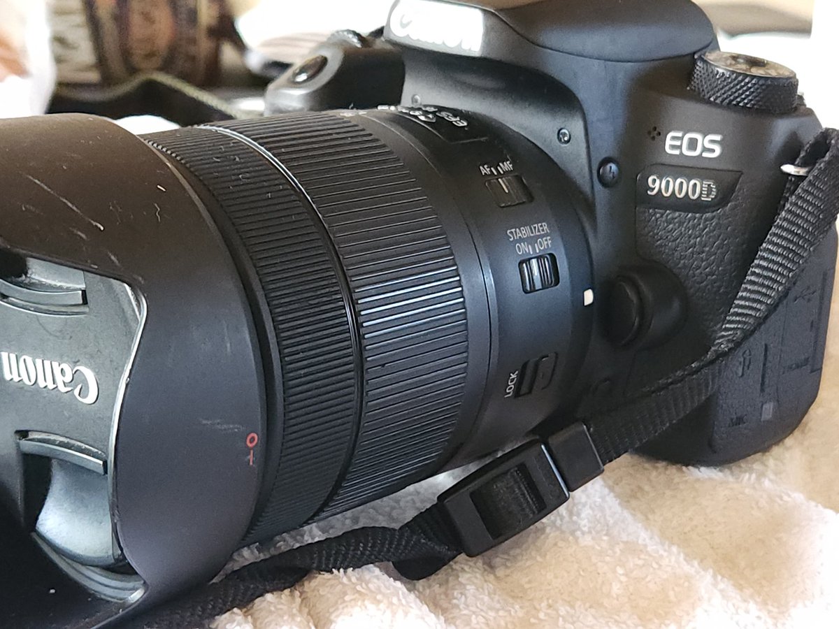 ようやくカメラを手にするまたでに
心が回復しました(笑)

しかし、この2ヶ月何だったのかと…私情が渦巻く児童福祉施設は危険だと