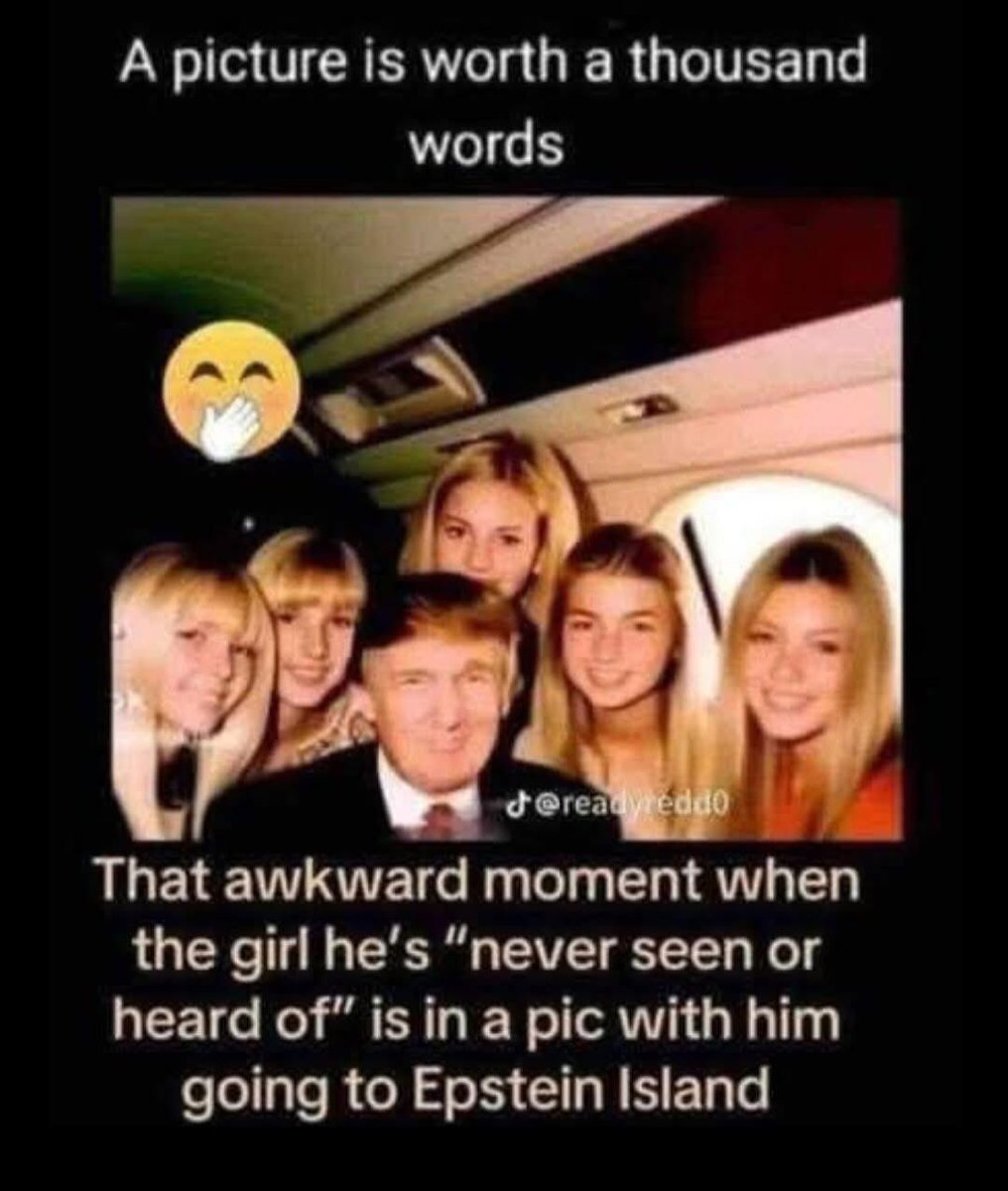Phil 🫶🐱🇨🇦 tweet media