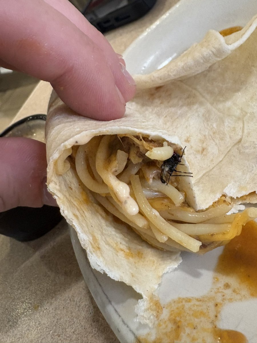 msavage23's tweet photo. My favorite part of @Skyline_Chili is the extra protein 🦟 they put in the chili. https://t.co/v1oEAGtkrv