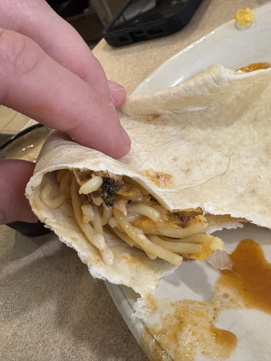 msavage23's tweet photo. My favorite part of @Skyline_Chili is the extra protein 🦟 they put in the chili. https://t.co/v1oEAGtkrv