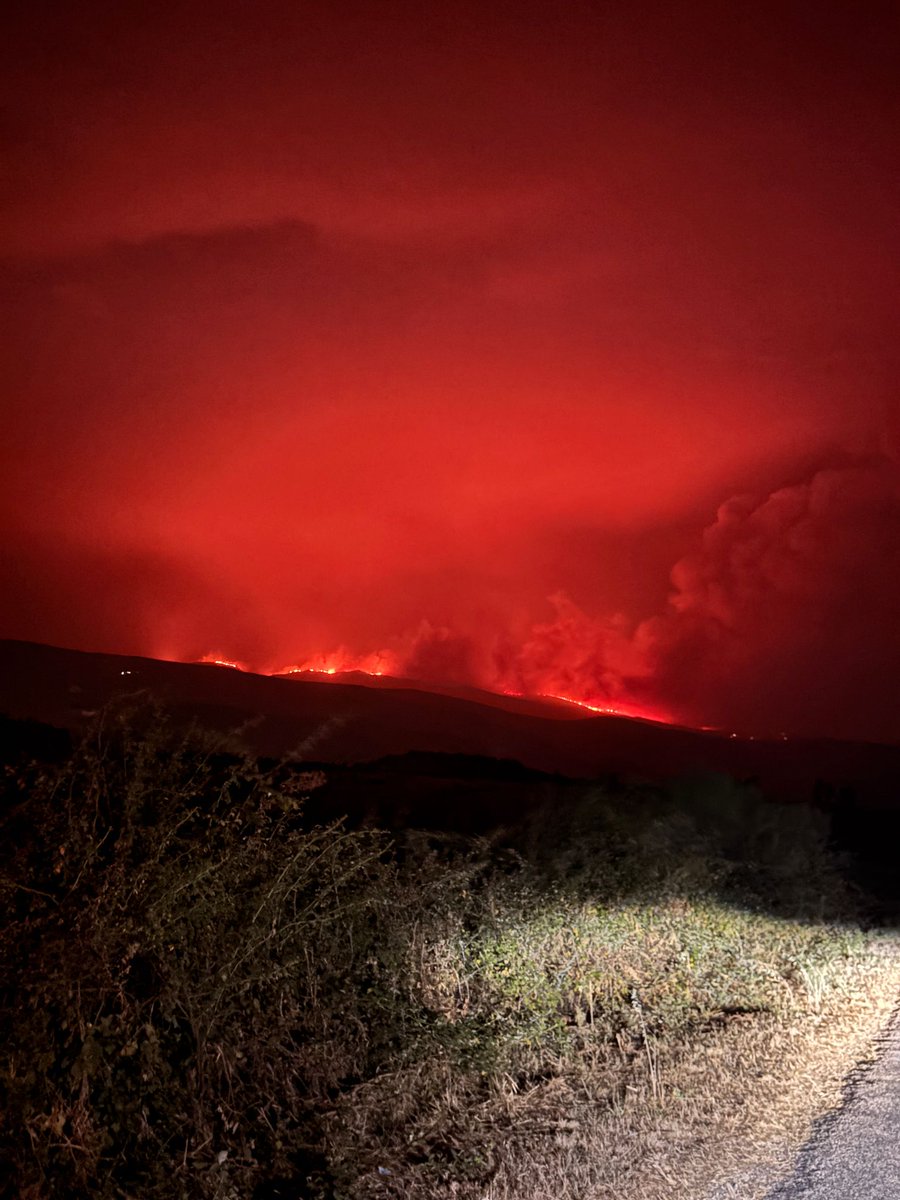 AguirianoMario's tweet photo. Arde Ourense y detrás hay una historia que no solo apunta a las temperaturas extremas: bosques sin limpiar, autoridades que ignoran el peligro o lo aumentan, servicios de emergencia infrafinanciados que se desbordan a la primera de cambio https://t.co/FJbZqrDRXG