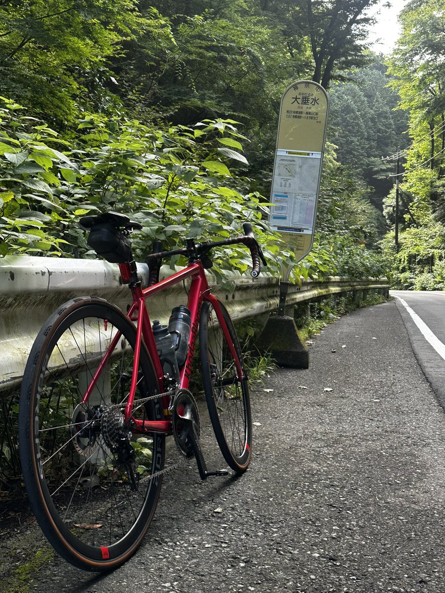 naoki614655's tweet photo. 大垂水峠（表裏）
#KBOC
#KhodaaBloom https://t.co/Bj3cTbTYvA
