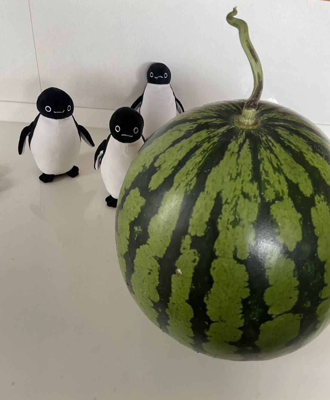 くるこむまとめ売り ペンギン　お魚　花瓶3点まとめ売り　G-1-3 メカ・ペンギンmini 立体・オブジェ jucon 通販 10685101