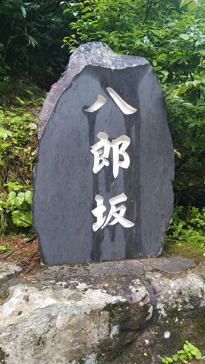 昨日まで大雨で、八郎坂心配でしたが無問題でした。
堅牢な整備に感謝。
マラニックな人たちが気にしてるかも？とポスト。
#八郎坂
#立山マラニック