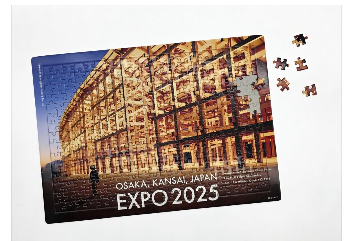 昨日の夜 大屋根リングのジグソーパズル用に買ったフレームが届いて