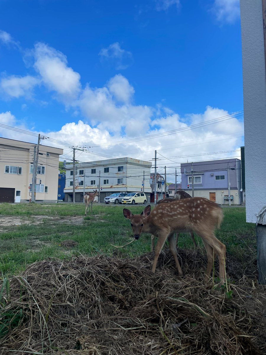 ご家族がご出発されました。