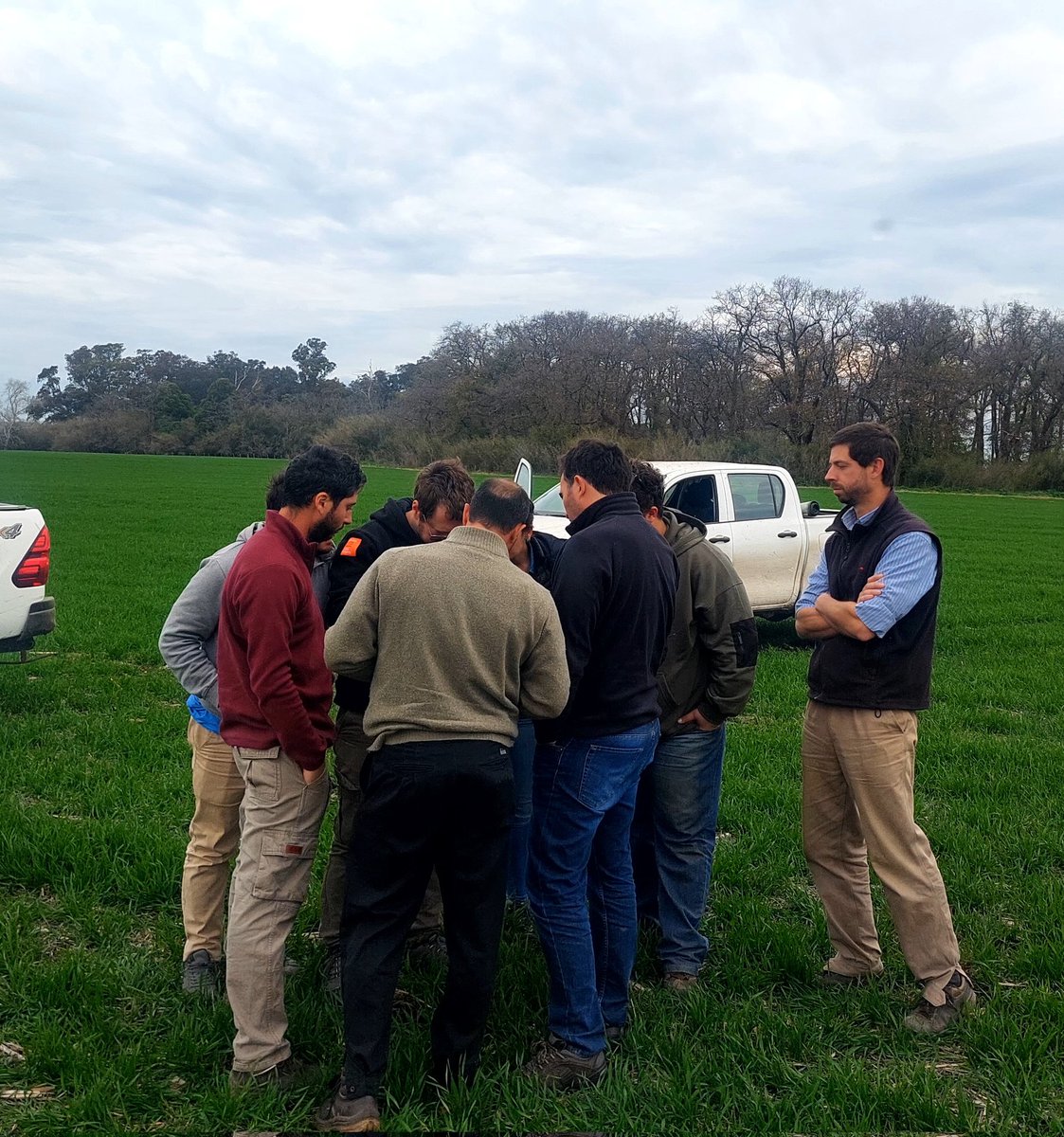 Recorrida de ajustes técnicos:
✔️Trigos y cebadas muy buenos; afinamos estrategias de herbicidas de macollaje según presión de crucíferas y raigrás.
✔️Protocolizamos barbechos a gruesa con énfasis en residuales.
#Asesoramiento
📍Lobería costa
📍Miramar
📍Cobo
