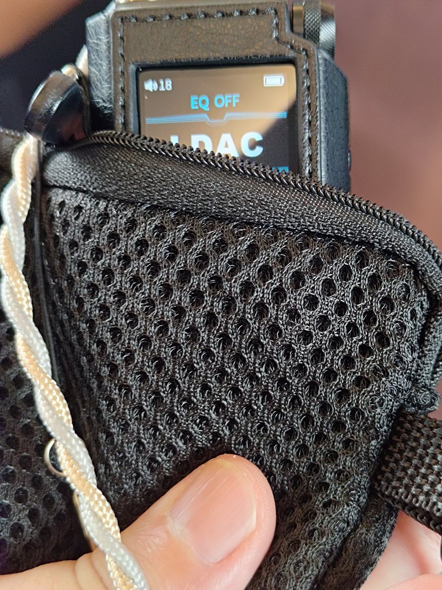 移動はFIIO BTR17さんをお供に。
携帯性が良いと楽ですわー😄