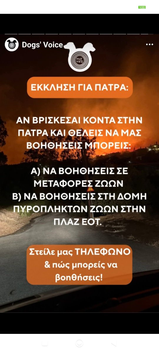 penny_rage's tweet photo. ΕΚΚΛΗΣΗ ΓΙΑ #ΠΑΤΡΑ
Η dog's voice χρειάζεται #εθελοντες
#φωτια #αχαια #πυρκαγια #φωτιες #πυρκαγιες #Ζωα #ζωασεκινδυνο https://t.co/V89r8x7J3H