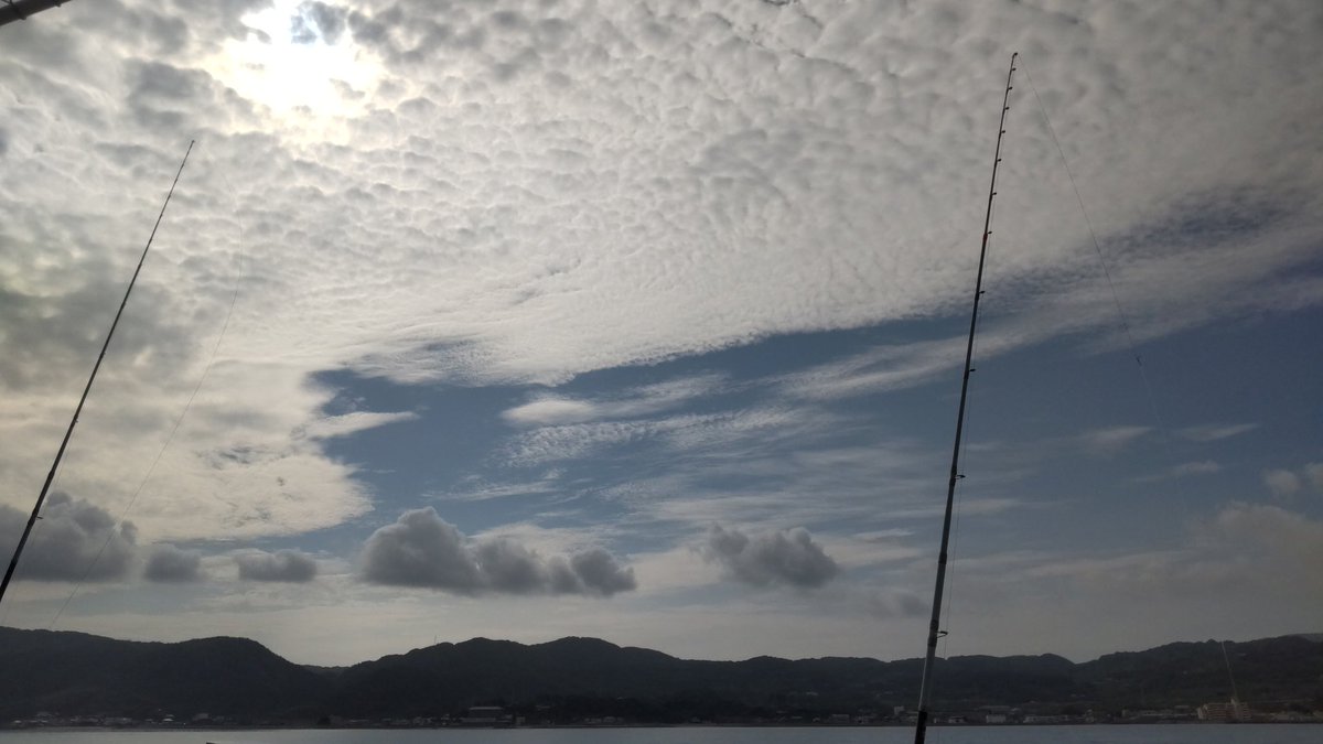 chocomint818's tweet photo. 出港じゃあ！(⁠ʘ⁠ᴗ⁠ʘ⁠✿⁠) https://t.co/DjQMFaK9HU