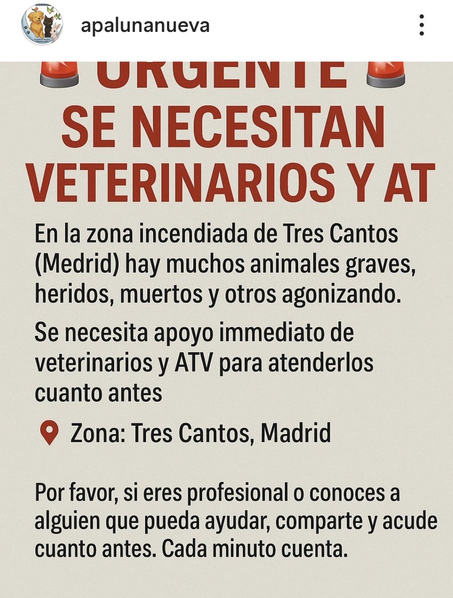 AbelPlata's tweet photo. Os pido con todo mi corazón la máxima difusión
Se necesitan URGENTEMENTE VETERINARIOS en zona Tres Cantos.
Hay animales muy mal, agonizando. 

Por favor, os lo pido. Difusión.🙏

#TresCantos  #IFTresCantos #DogHouseTVE https://t.co/RQxkcnCrTB