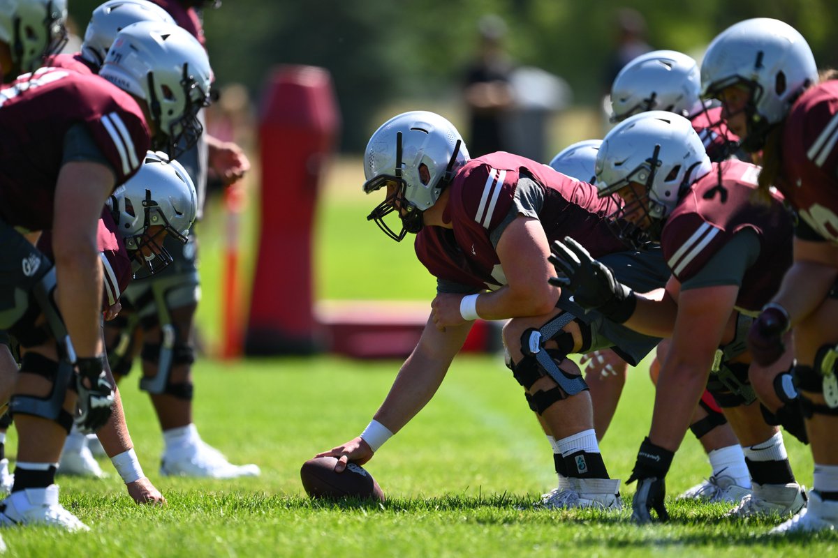 Montana Griz Football tweet media