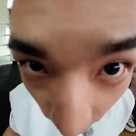 fin 🐿️ (@sapphicsharkk) on Twitter photo 