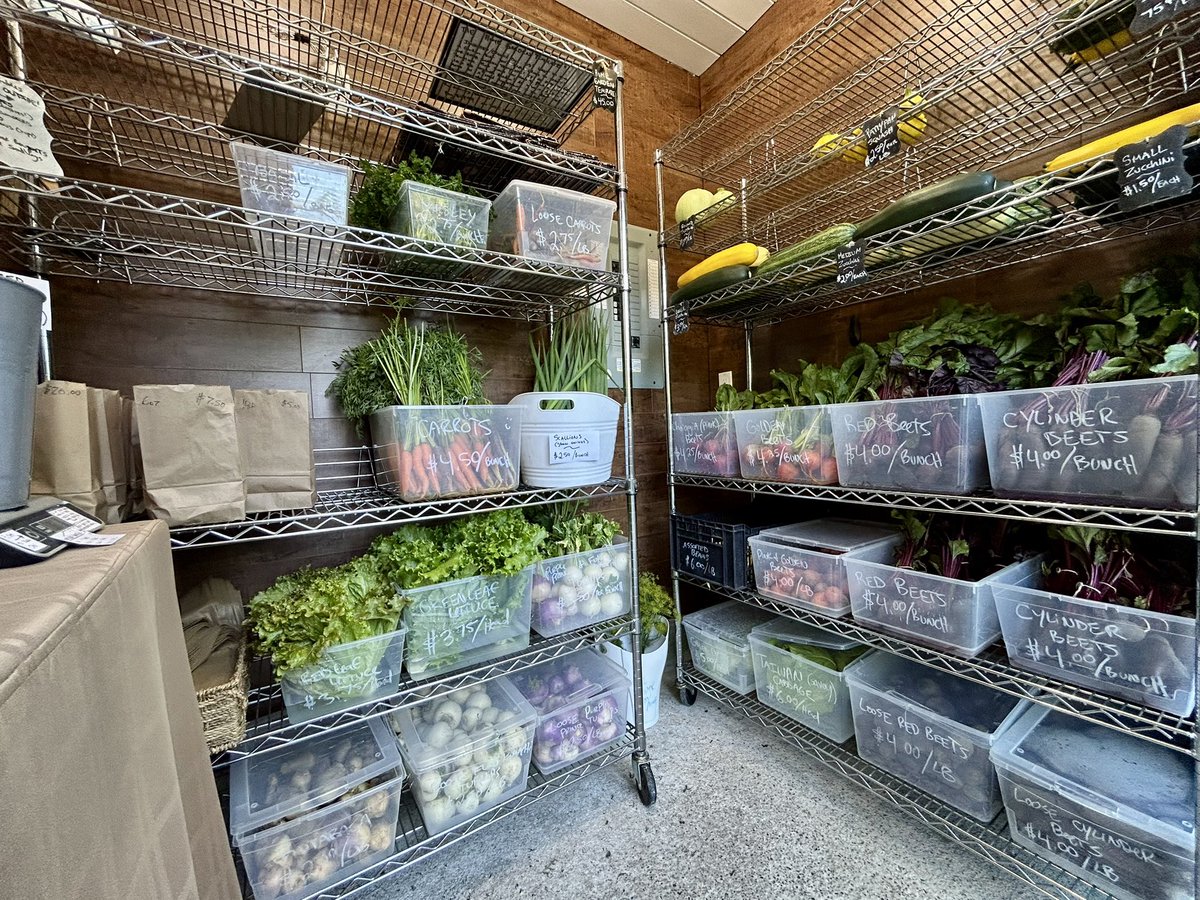 EastRidgeFarms's tweet photo. Here’s how the #farmstand is looking for #topuptuesday!  Harvested the first of the beans and a decent amount of zucchini.  Cleaned up some more garlic too!  Even found a few heads log leaf lettuce that are ready.  Come on by and grab some veggies!

#farmdirect #marketgarden https://t.co/oYS3wCKTvz