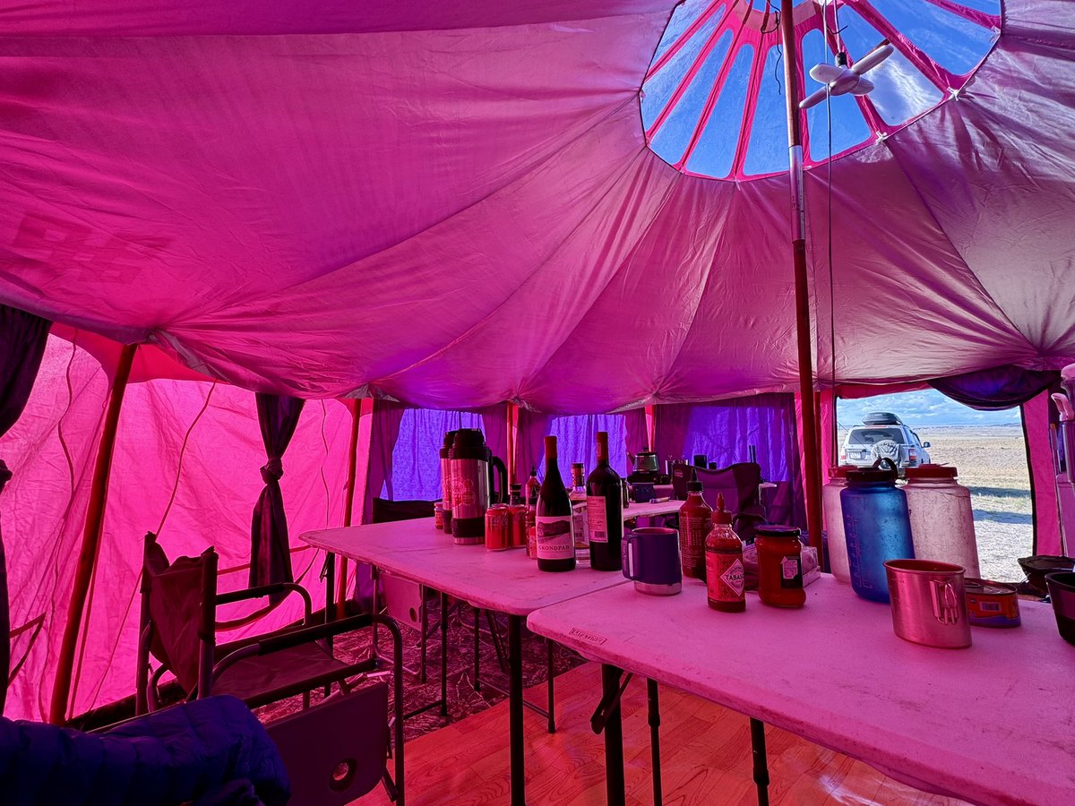 ExpeditionLive's tweet photo. Itโs that time of the field season when #dinodig25 crews are split btw Montana & Mongolia. #MADEx25 (Mongolian team) is up and running from base camp 1. Have a sweet new disco ger tent and camp dog. Time to find some #dinosaurs! Find our playlists here https://t.co/nzj2vBd7TF https://t.co/HBS2SUfItD
