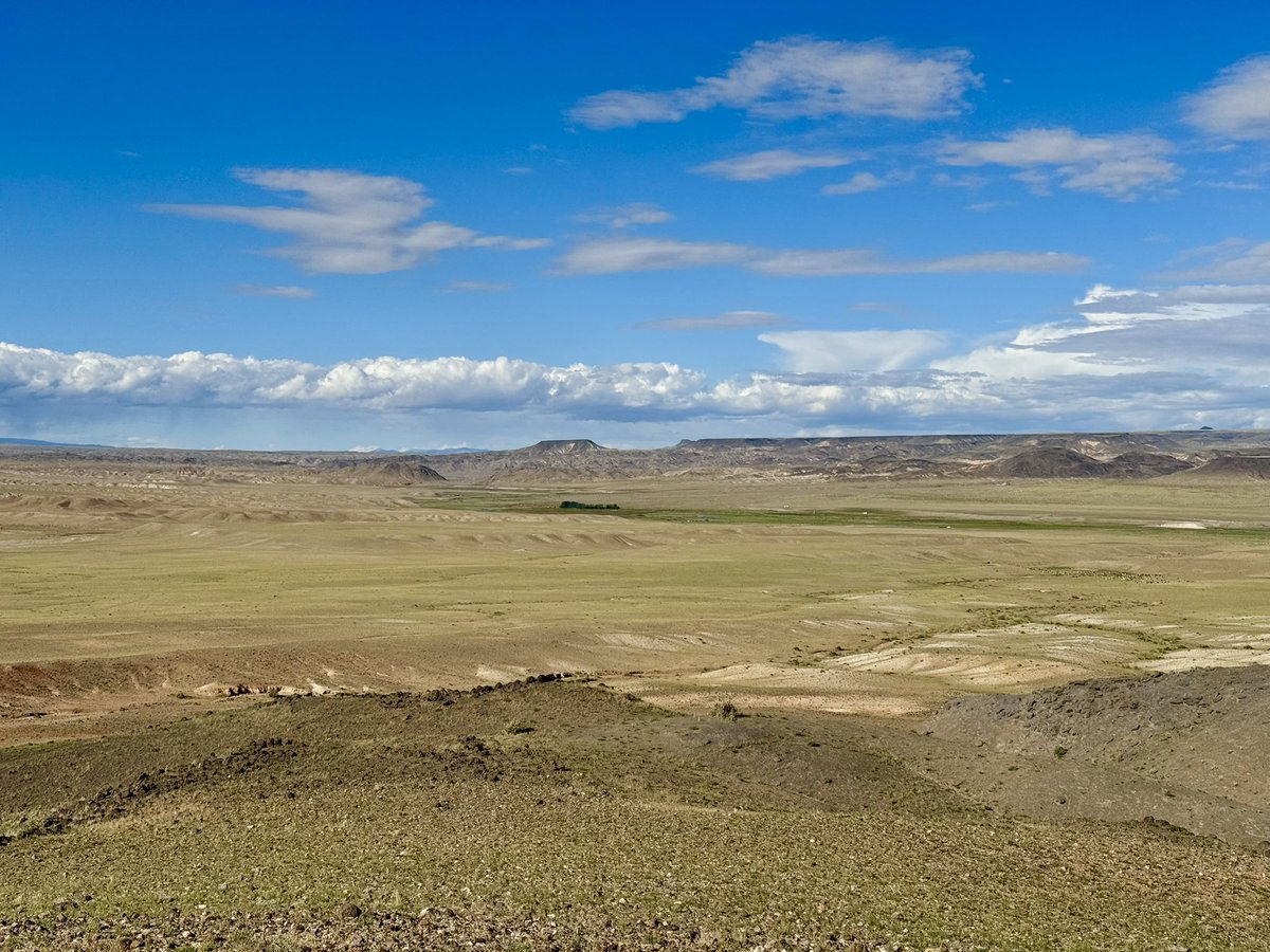 ExpeditionLive's tweet photo. Itโs that time of the field season when #dinodig25 crews are split btw Montana & Mongolia. #MADEx25 (Mongolian team) is up and running from base camp 1. Have a sweet new disco ger tent and camp dog. Time to find some #dinosaurs! Find our playlists here https://t.co/nzj2vBd7TF https://t.co/HBS2SUfItD
