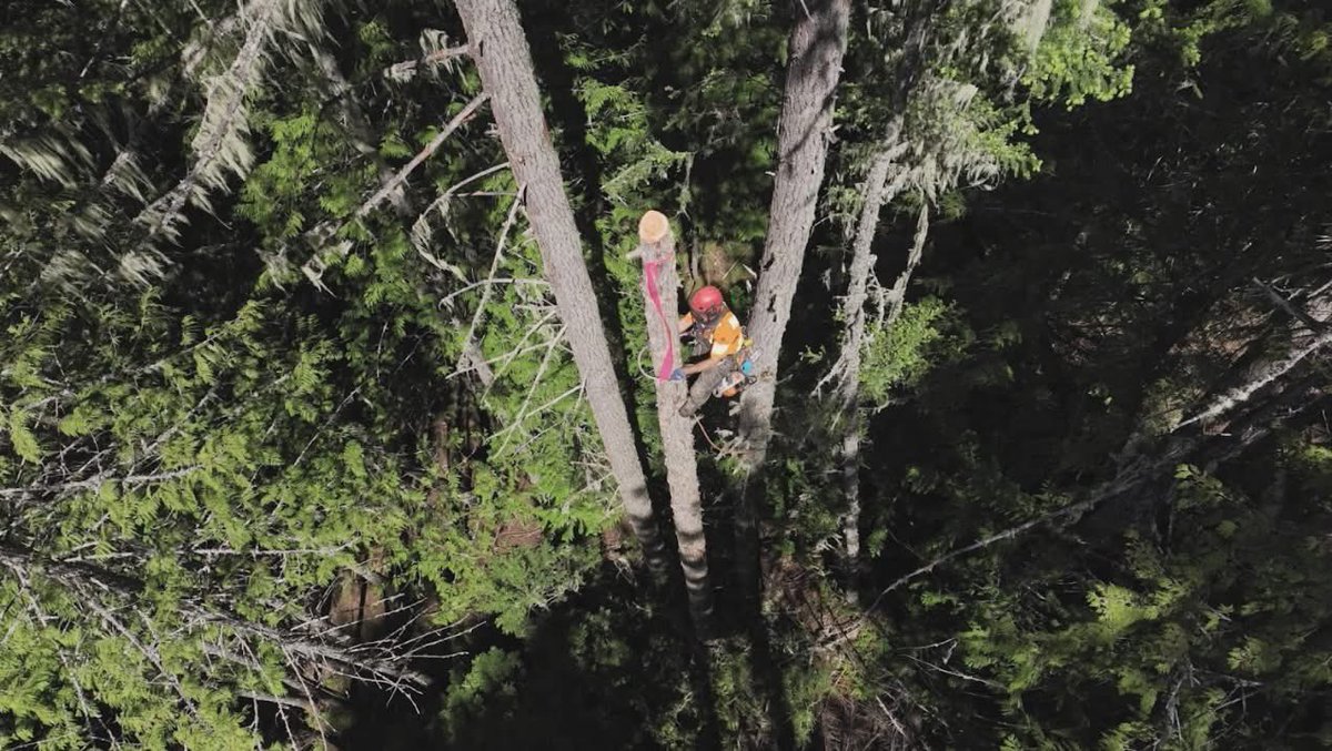 timbertitans_'s tweet photo. The season premiere of Timber Titans is on TONIGHT! Tune in at 6pm PT/9pm ET on USA Network CA and stream tomorrow on Crave https://t.co/VXk5tWYrXn