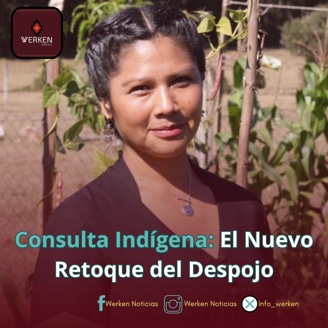 Werken Noticias tweet media