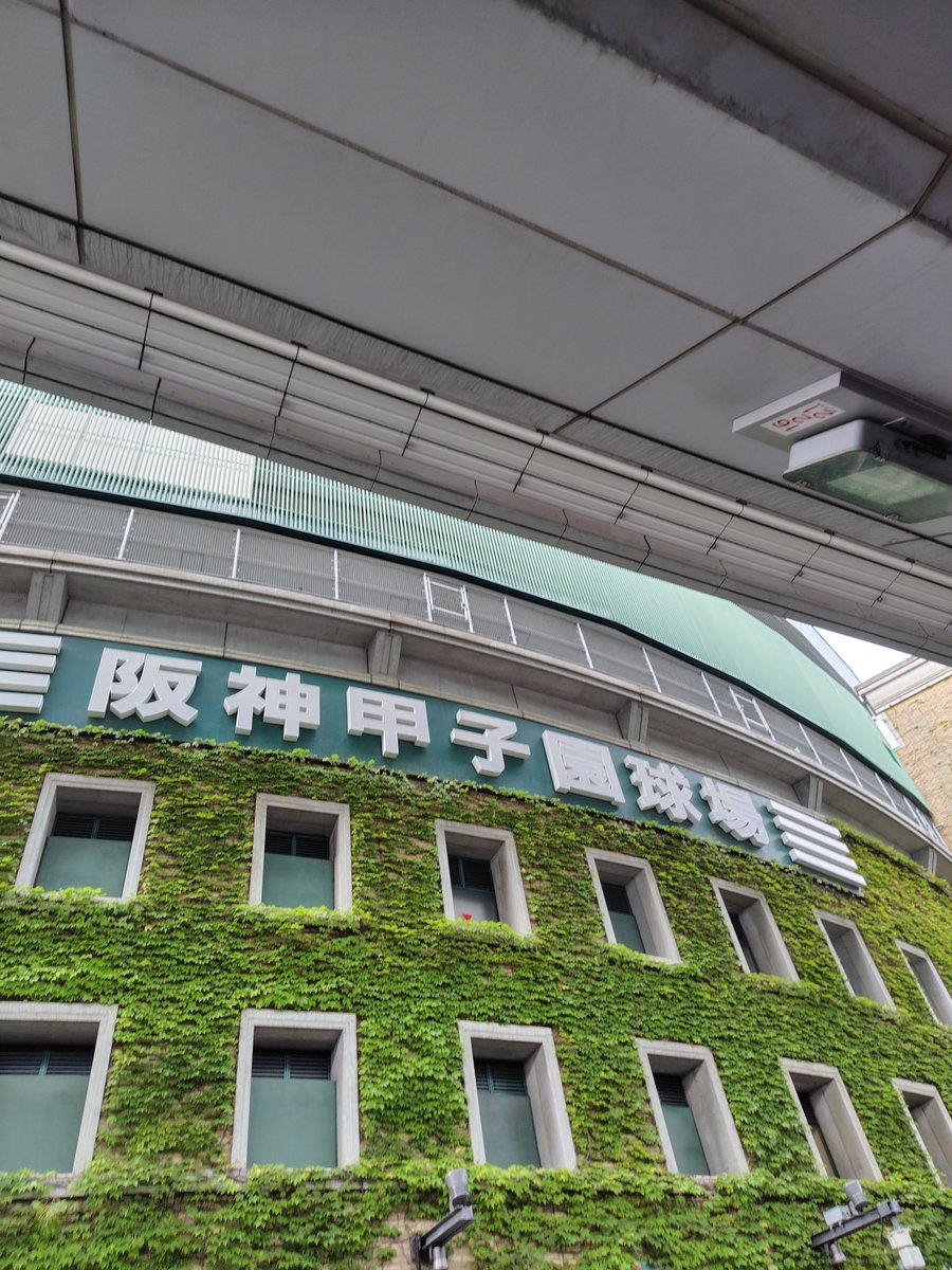 tech_nekotter's tweet image. 帰省のついでに甲子園！