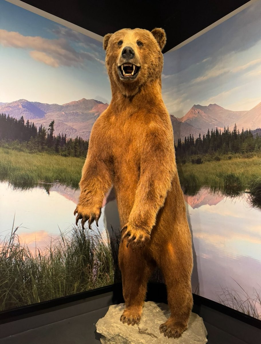 Cook Museum of Natural Science tweet media