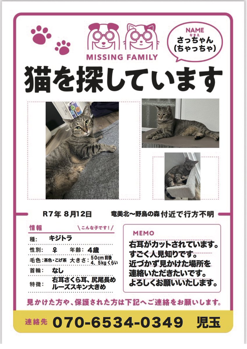 猫が脱走してしまいました
もし見かけたらご連絡ください
大変人見知りな猫ちゃんなので見かけた場所をご連絡いただけると幸いです。
#拡散希望
#迷い猫
#迷子猫
#脱走
#ギジトラ
#岡崎市
