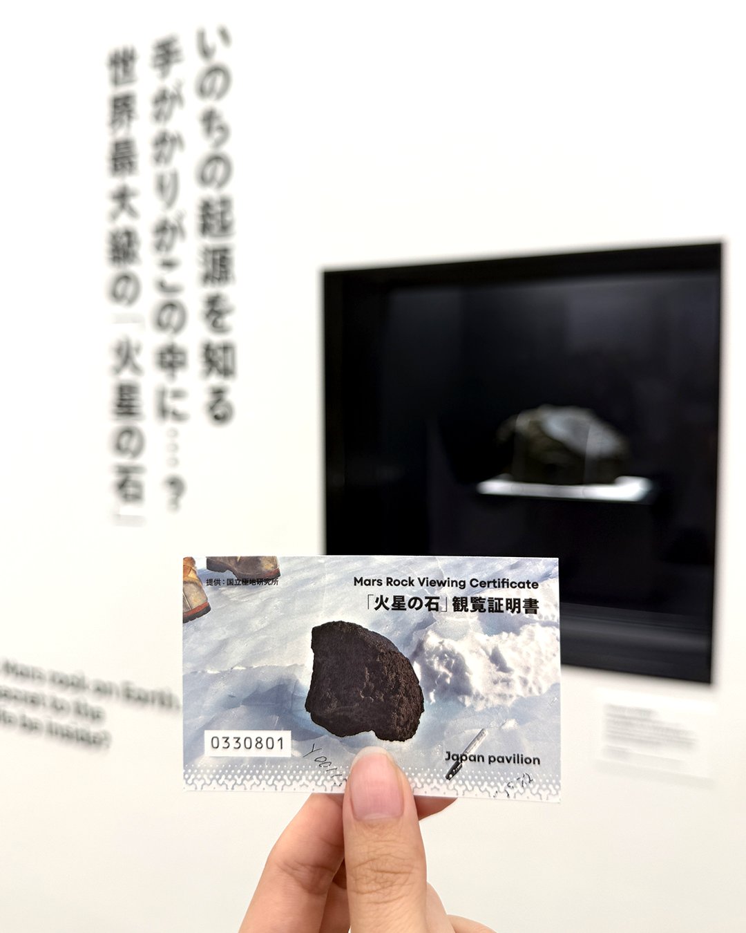 【マリエモーン】月隕石＆火星隕石　『万博セット』 証明カード 写真付き マリエモーン様専用】月隕石＆火星隕石 『万博セット』 証明