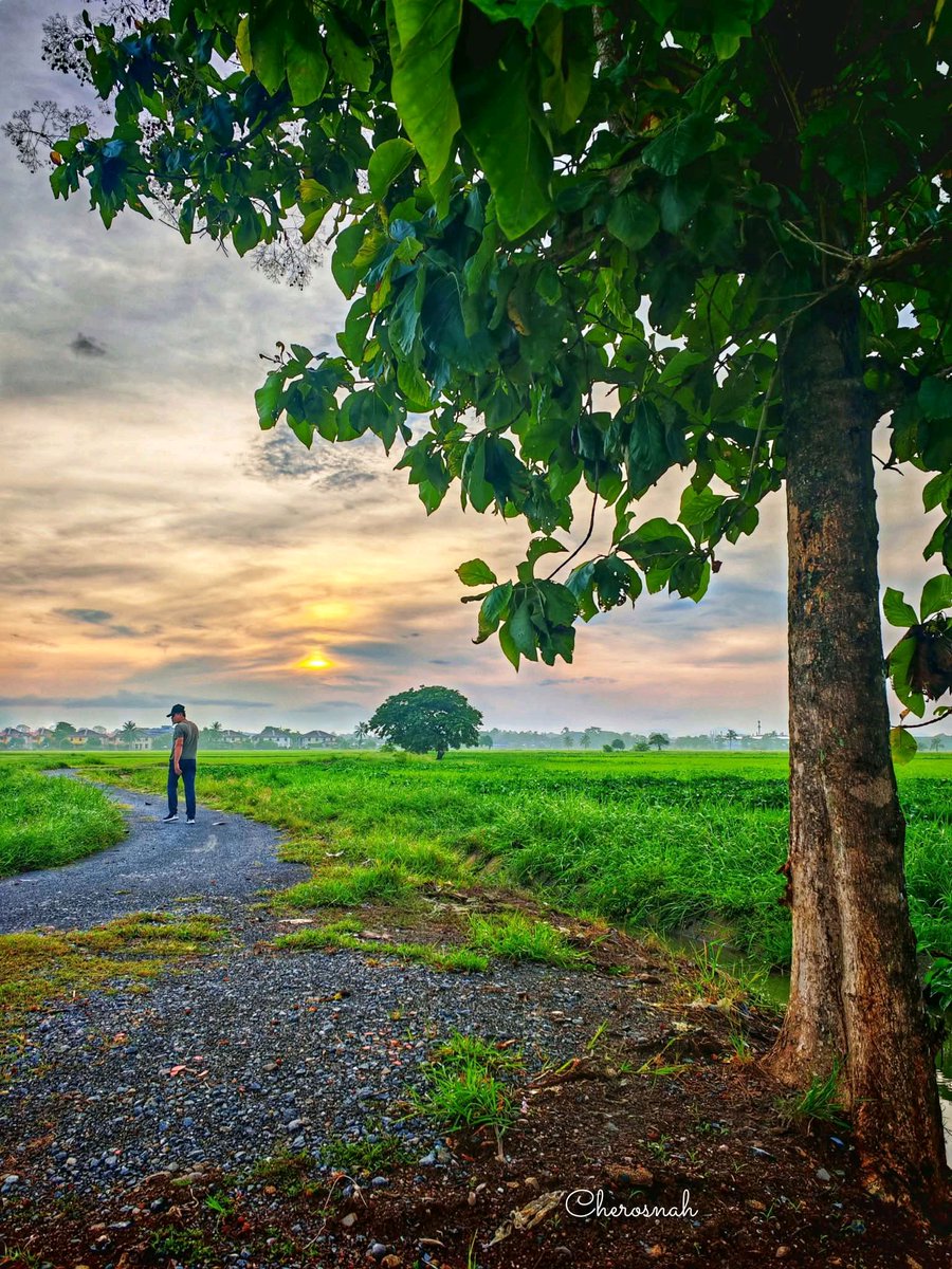 SALAM PERLIS

13 Ogos 2025 | 19 Safar 1447H

Selamat Pagi | Panorama Pagi Yang Damai @ Perlis 

Kredit 📸 : Che Rosnah 

#PerlisPermai #SelamatPagi #SalamPerlis #VisitPerlis #TahunMelawatPerlis #TMP20242025 #Perlis💛💙 #Malaysia🇲🇾