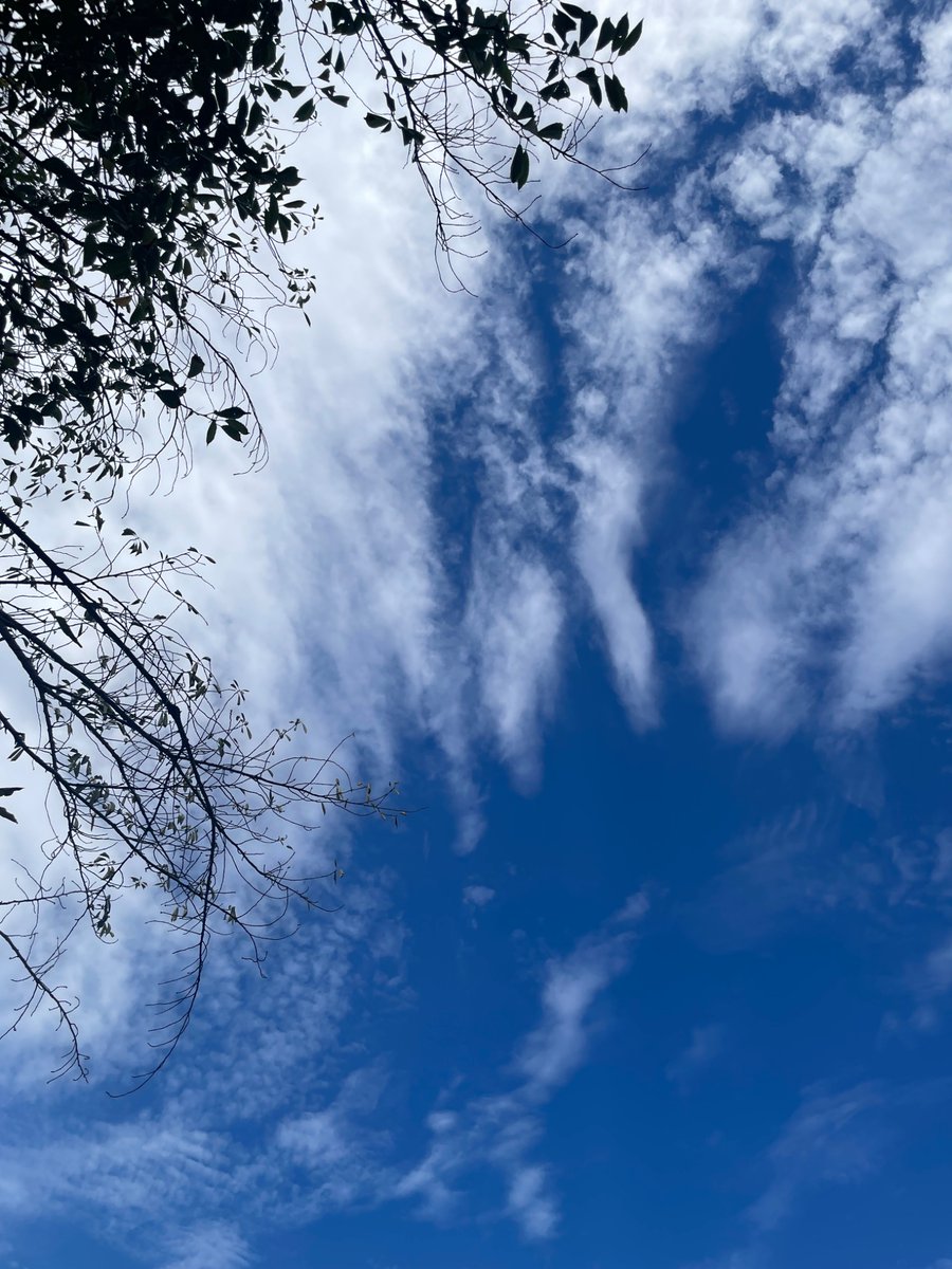 COCOCARA2023's tweet image. おはようございます🐨
COCOCARA板橋オフィスです！

#水曜日 になりました🤩
本日の #板橋区 の天候は曇り🌥️
#最高気温 は31℃の予報です🌡️

35℃を下回ると、少し涼しいような錯覚をしてしまいますね😂
暦の上ではもう秋ですが…まだまだ暑さは続きそうです。…