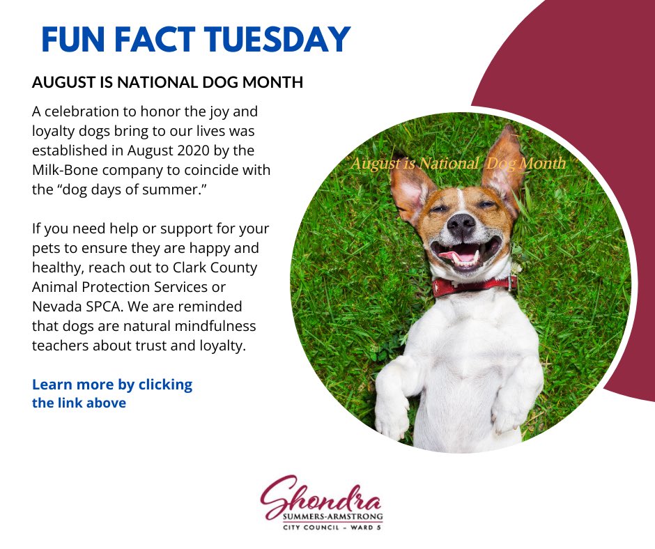 August is National Dog Month! 🐾 Celebrate the joy &amp; loyalty dogs bring to our lives. Give Fido extra love this month! 🐶❤️ mailchi.mp/shondraarmstro…